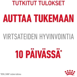 Urinary Care Gravy 85g, 48-pack>Royal Canin Online