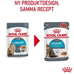 Urinary Care Gravy 85g, 48-pack>Royal Canin Online
