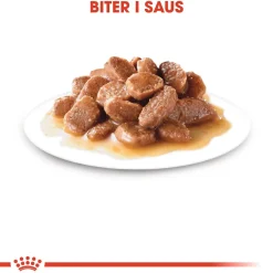 Urinary Care Gravy 85g, 48-pack>Royal Canin Online
