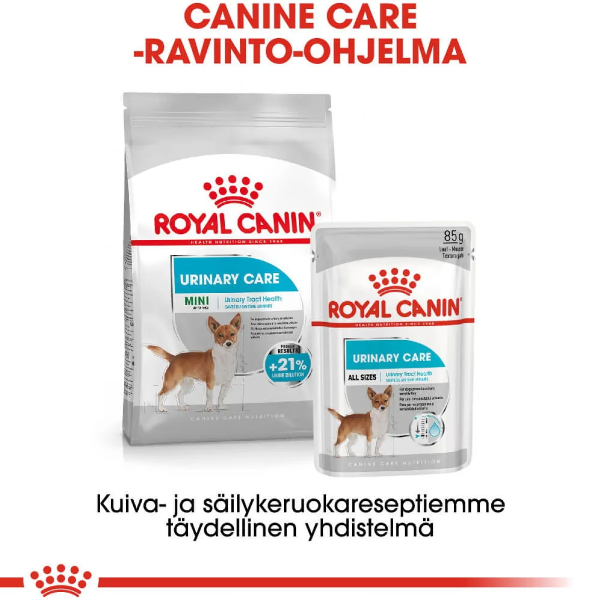 Urinary Care Mini>Royal Canin Hot