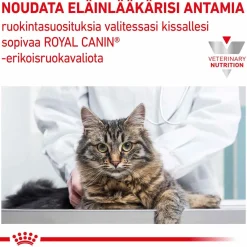 Cat Gastrointestinal Kitten>Royal Canin Veterinary Diets New