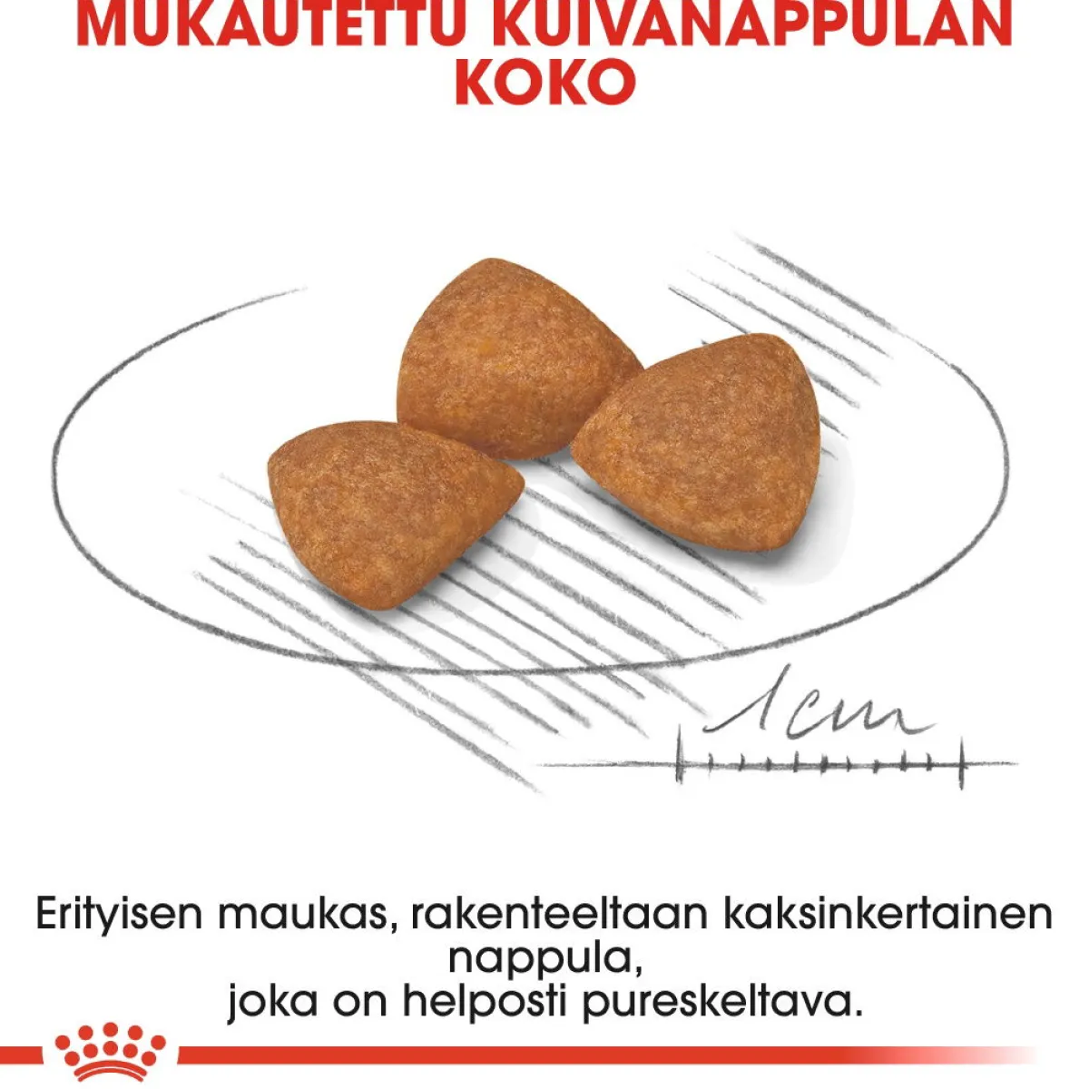 X-Small Ageing +12, 1.5 kg>Royal Canin Outlet