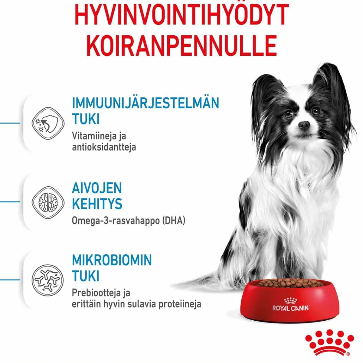 X-Small Puppy>Royal Canin Sale