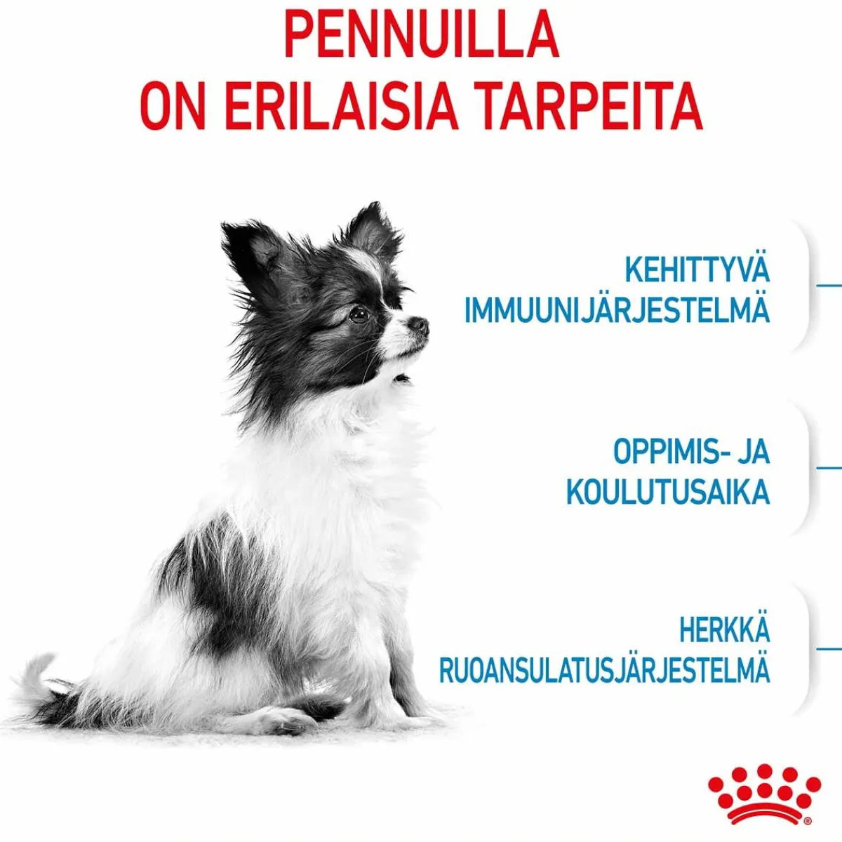 X-Small Puppy>Royal Canin Sale