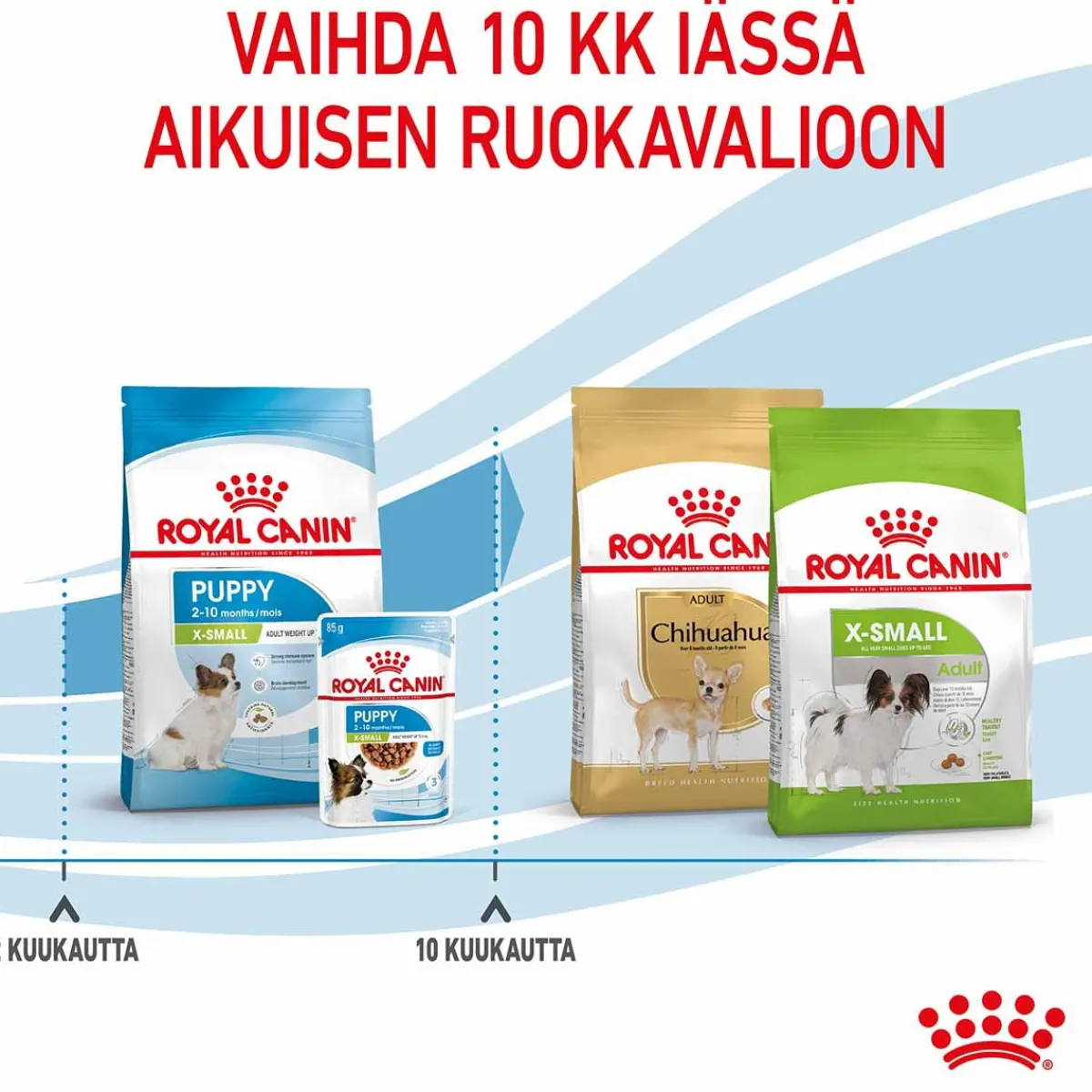 X-Small Puppy>Royal Canin Sale