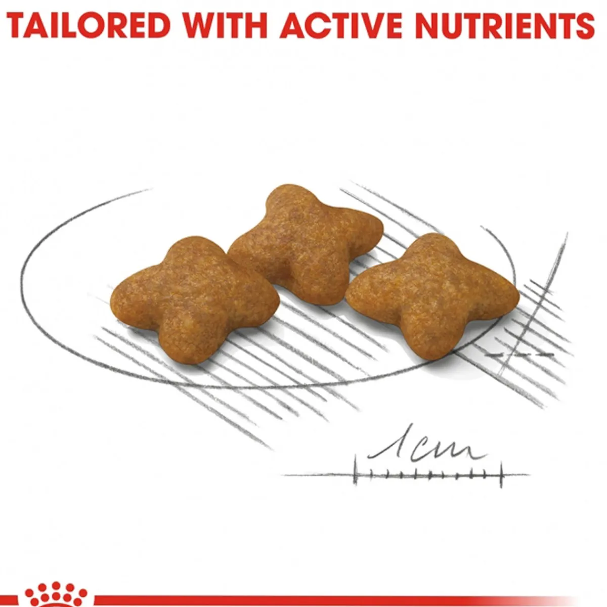 X-Small Sterilised 1,5 kg>Royal Canin Sale