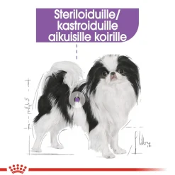 X-Small Sterilised 1,5 kg>Royal Canin Sale