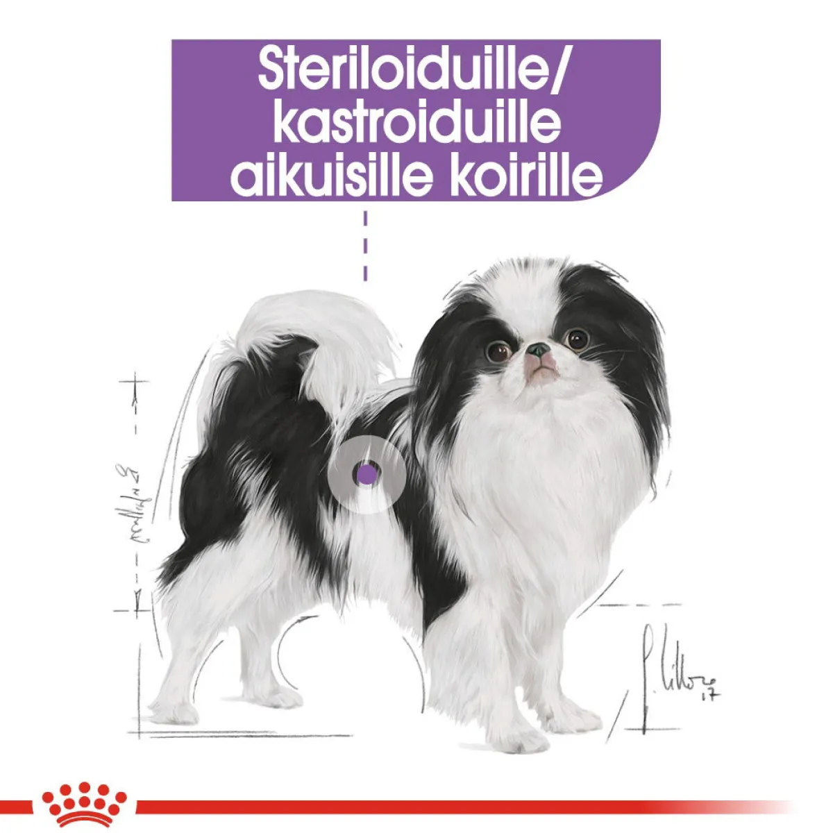 X-Small Sterilised 1,5 kg>Royal Canin Sale