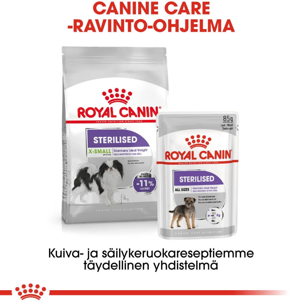 X-Small Sterilised 1,5 kg>Royal Canin Sale