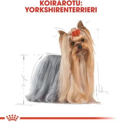 Yorkshire Wet 12 x 85 g>Royal Canin Outlet