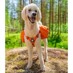 Approach Pack reppu koiralle, oranssi>RuffWear