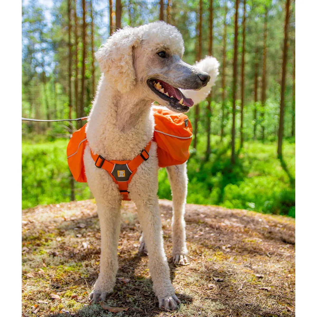 Approach Pack reppu koiralle, oranssi>RuffWear