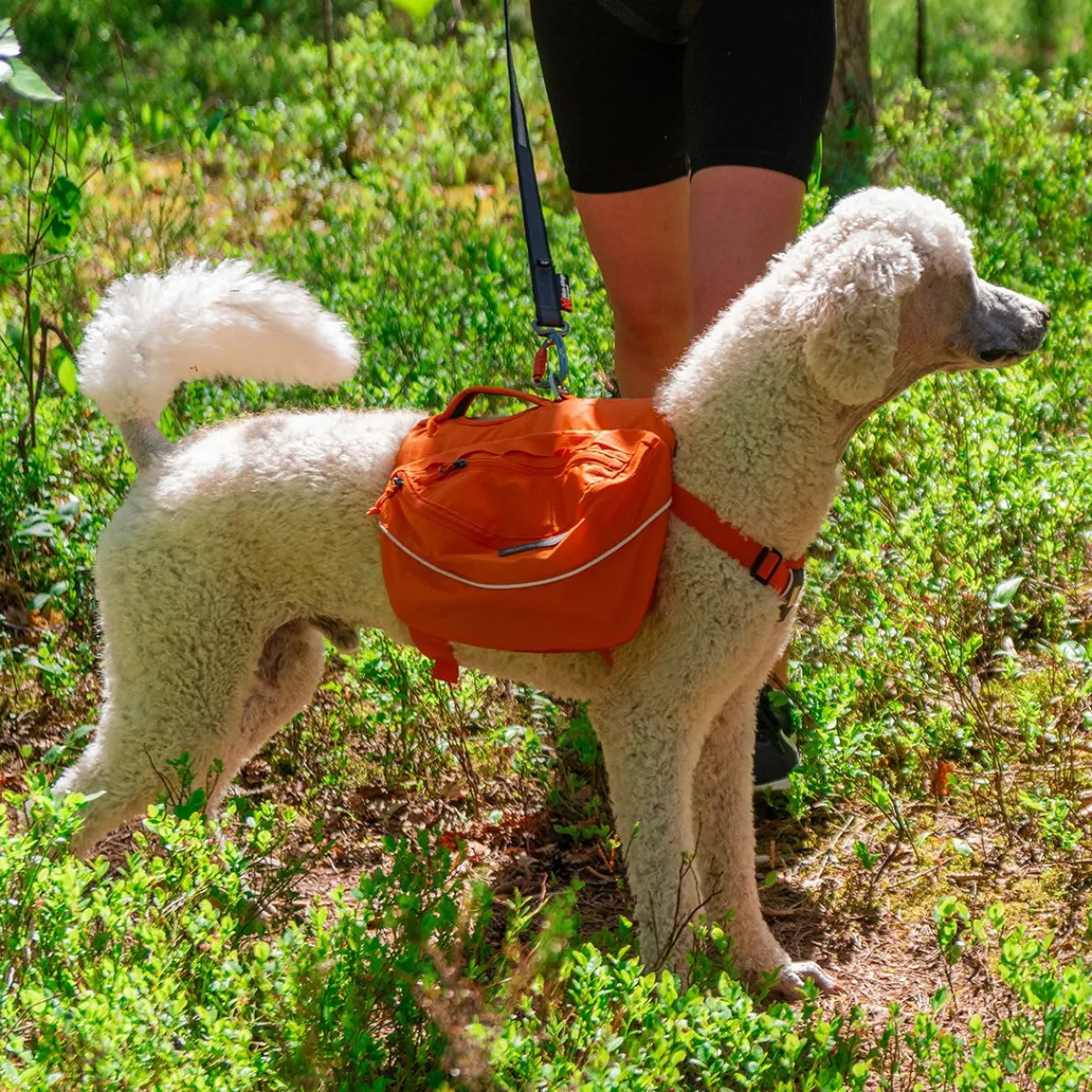 Approach Pack reppu koiralle, oranssi>RuffWear