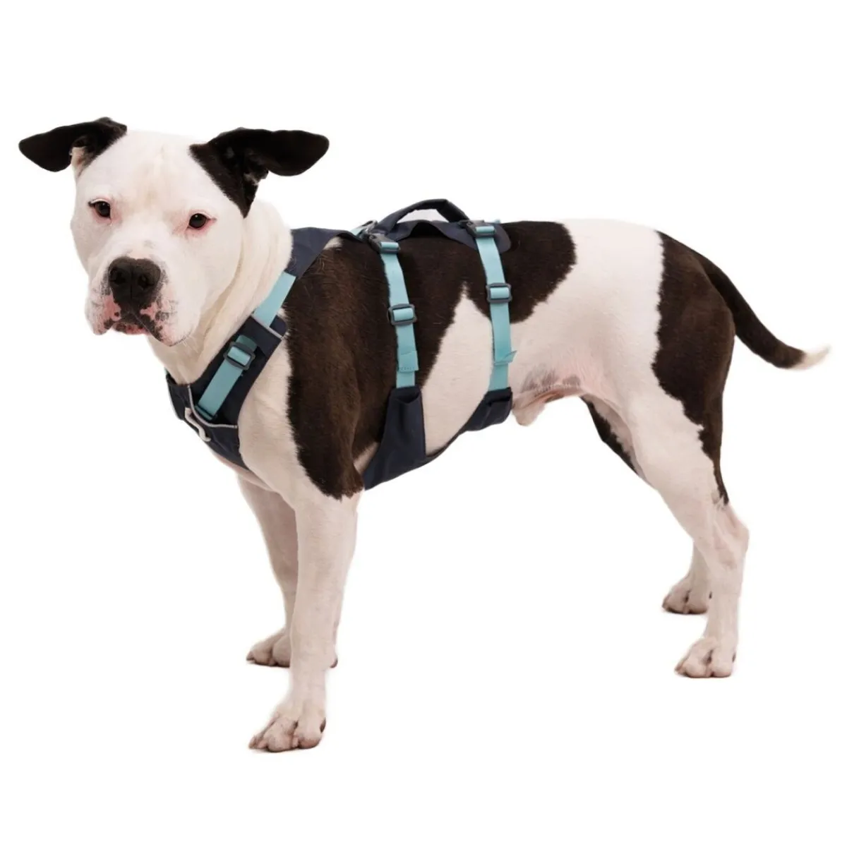 Flagline valjaat, harmaa>RuffWear Best