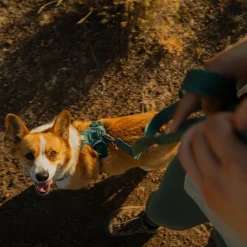 Front Range Flex hihna>RuffWear New