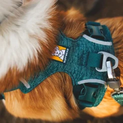 Front Range Flex koiranvaljaat, Deep Teal>RuffWear Best