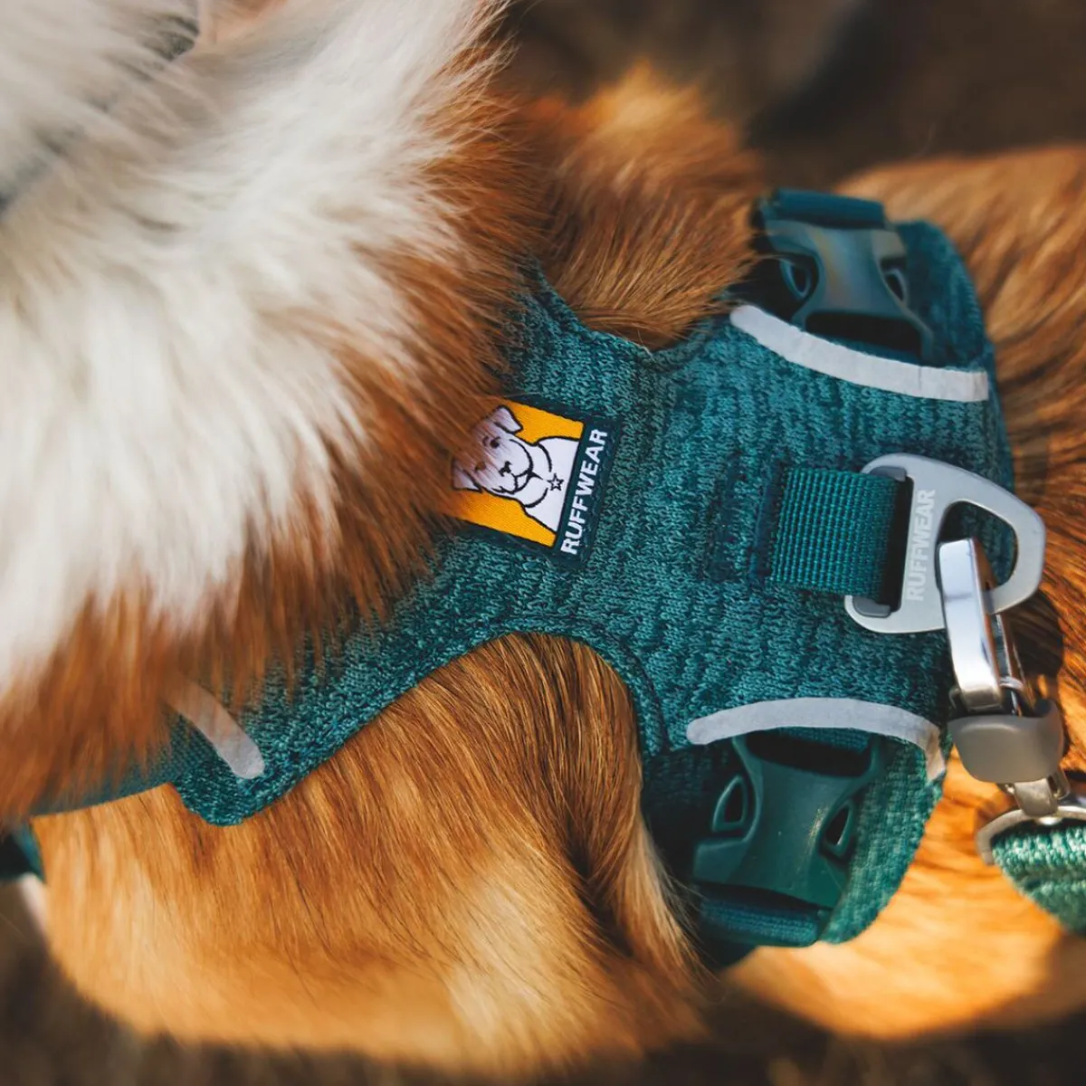 Front Range Flex koiranvaljaat, Deep Teal>RuffWear Best