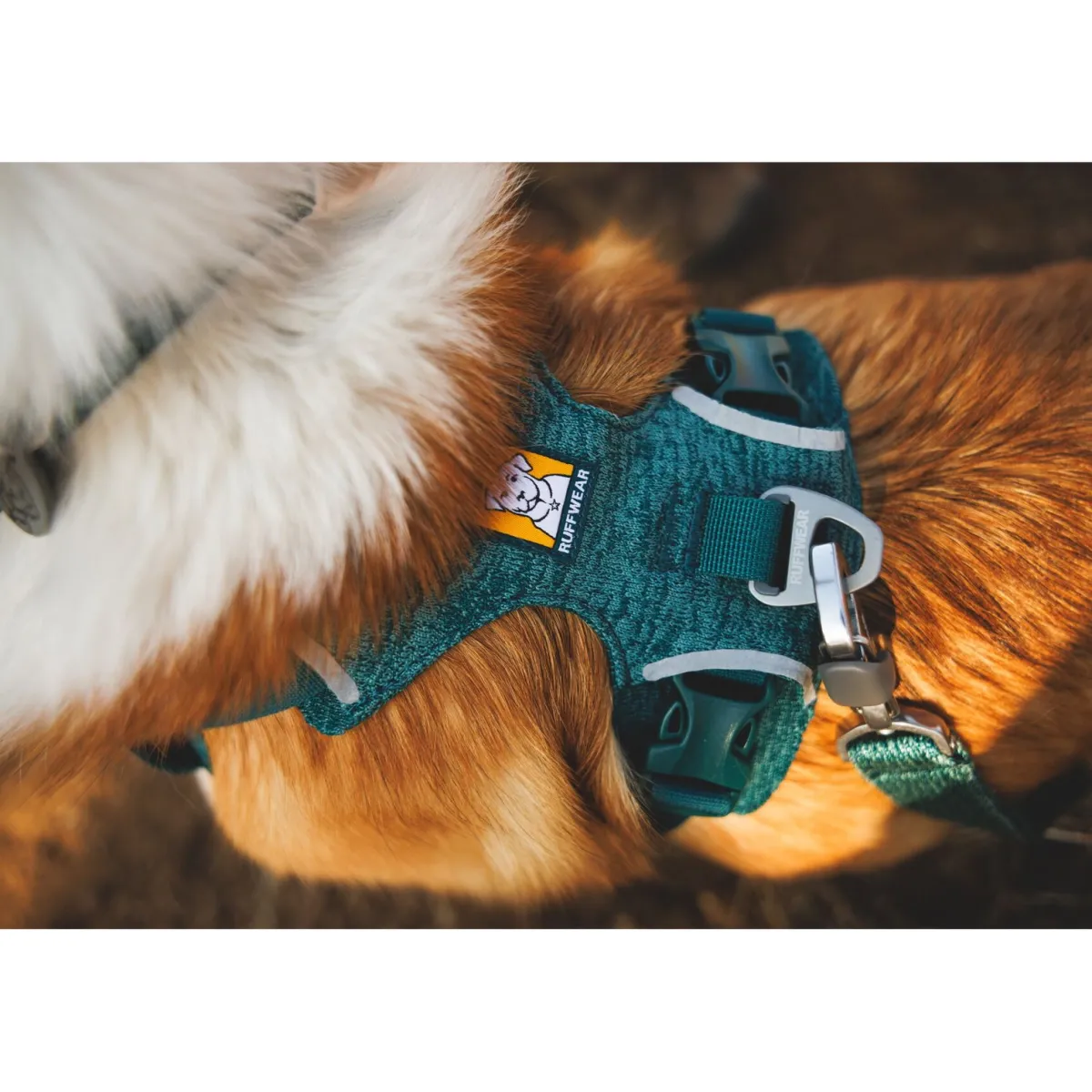Front Range Flex koiranvaljaat, Deep Teal>RuffWear Best