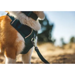 Front Range Flex koiranvaljaat, Deep Teal>RuffWear Best