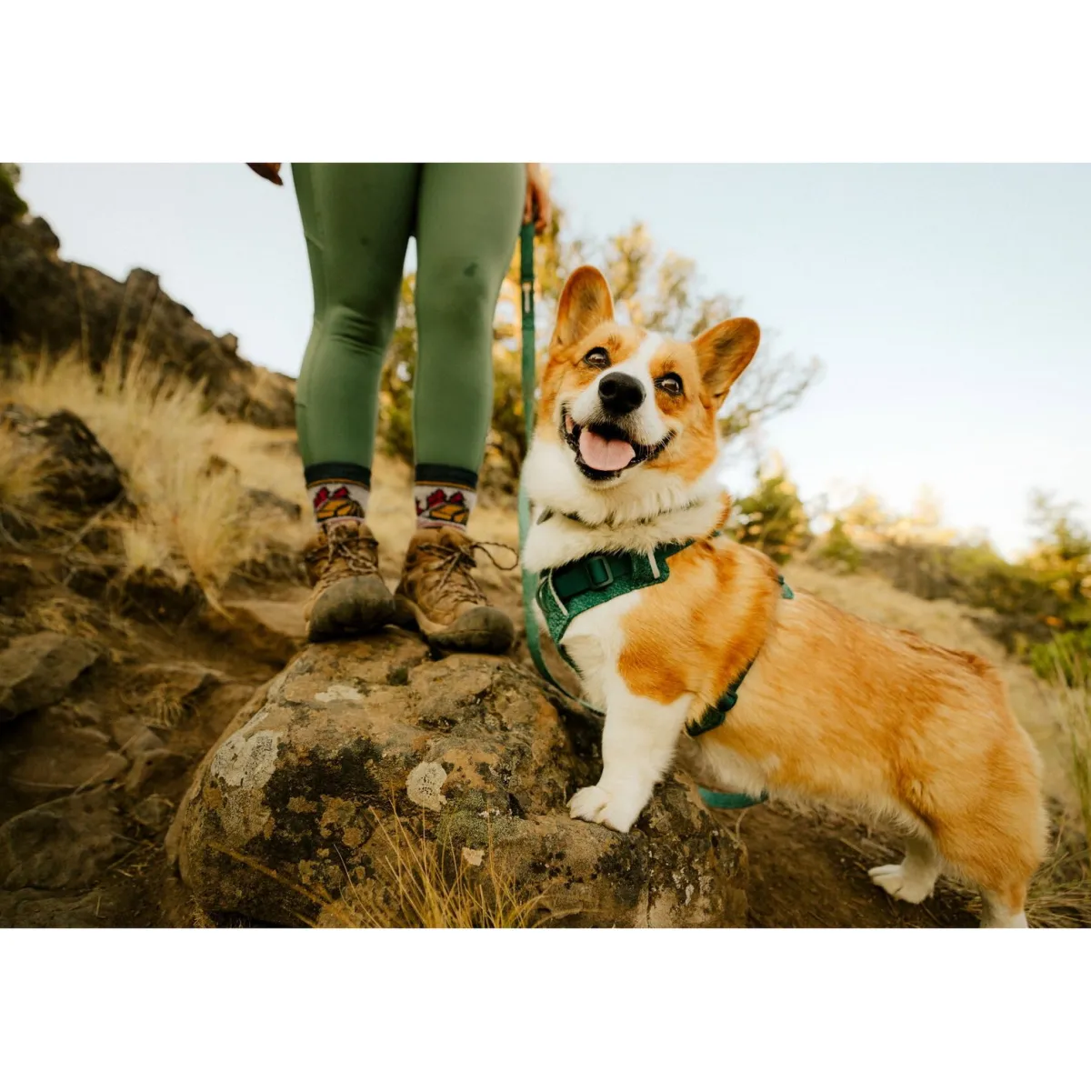 Front Range Flex koiranvaljaat, Deep Teal>RuffWear Best