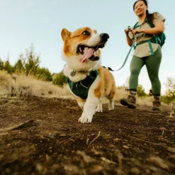 Front Range Flex koiranvaljaat, Deep Teal>RuffWear Best