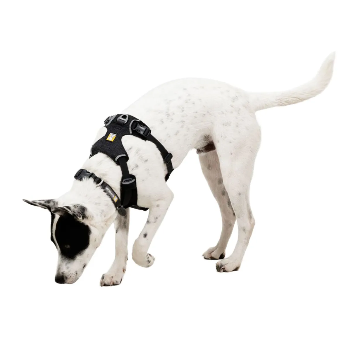 Front Range Flex valjas, Basalt Gray>RuffWear Online