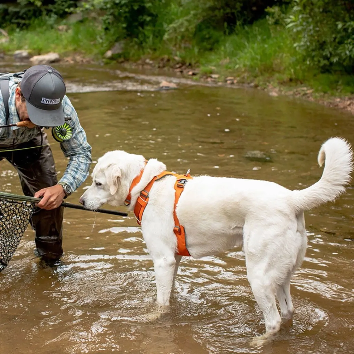 Front Range valjaat, Blaze Orange>RuffWear Hot