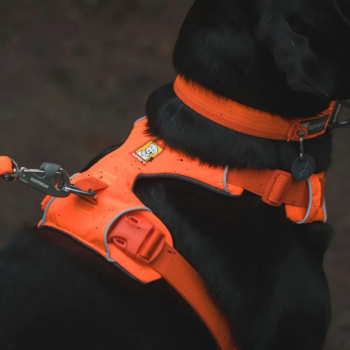 Front Range valjaat, Blaze Orange>RuffWear Hot