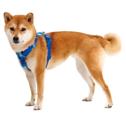 Front Range valjaat, Coastal Mountains>RuffWear Hot
