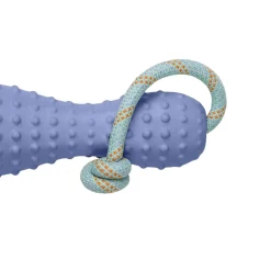 Gourdo -koiran heittolelu, violetti>RuffWear Sale