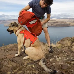 koiran reppu Palisades Pack, punainen>RuffWear Sale