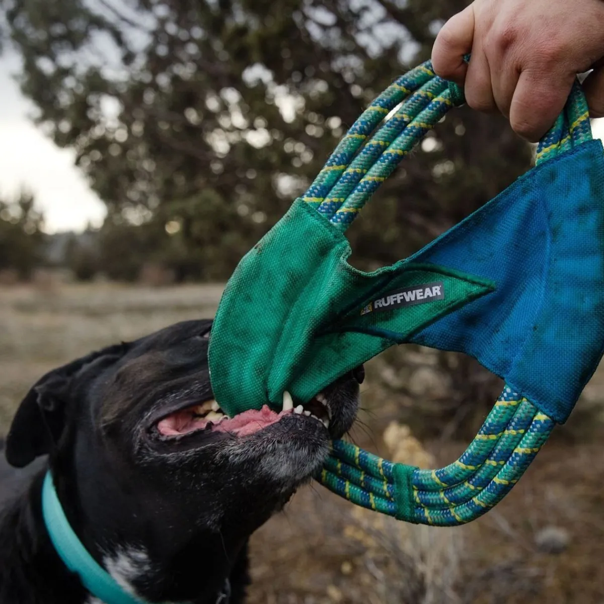 Pacific Ring koiranlelu, turkoosi>RuffWear