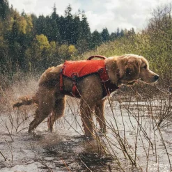 Pelastusliivi Confluence, Tangelo Orange>RuffWear