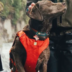 Pelastusliivi Confluence, Tangelo Orange>RuffWear