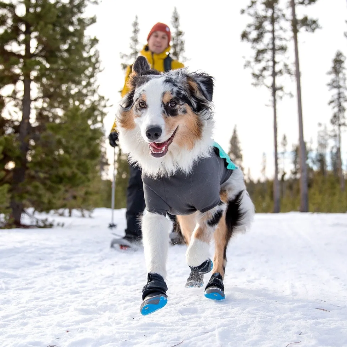 Polar Trex - tossut 2kpl, musta>RuffWear
