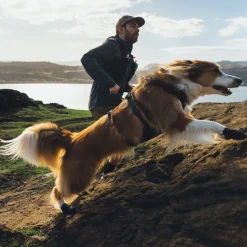 Ridgeline -koiran kengät>RuffWear Best