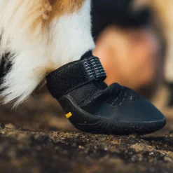 Ridgeline -koiran kengät>RuffWear Best
