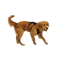 Ridgeline valjaat, Obsidian Black>RuffWear Sale