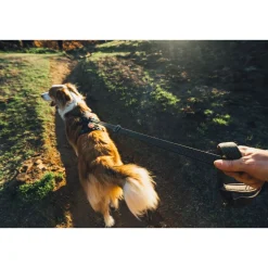 Ridgeline valjaat, Obsidian Black>RuffWear Sale