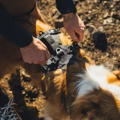 Ridgeline valjaat, Obsidian Black>RuffWear Sale