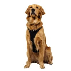 Ridgeline valjaat, Obsidian Black>RuffWear Sale