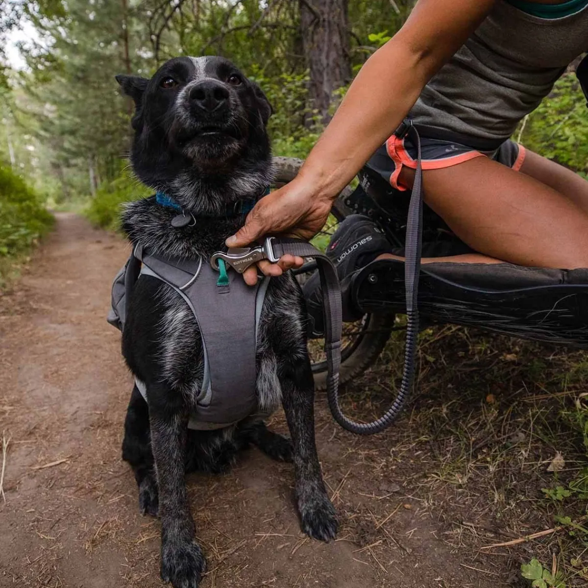 Roamer joustotalutin, harmaa>RuffWear Best