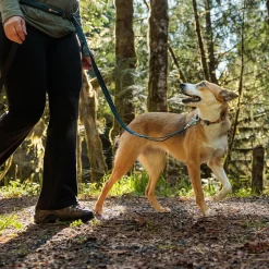 Roamer joustotalutin, River Rock Green>RuffWear