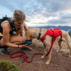 Switchbak -koiran valjaat, punainen>RuffWear Discount