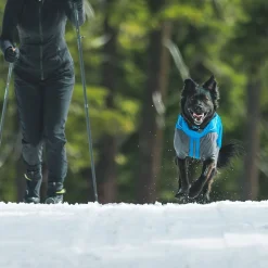 Vert koiran talvihaalari, sininen>RuffWear Hot