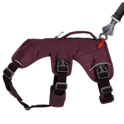 Web Master monitoimivaljaat, violetti>RuffWear Hot