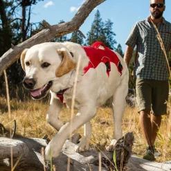 Webmaster valjaat, harmaa>RuffWear Online