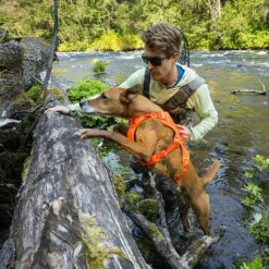 Web Master valjaat koiralle, Blaze Orange>RuffWear Best