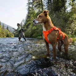 Web Master valjaat koiralle, Blaze Orange>RuffWear Best