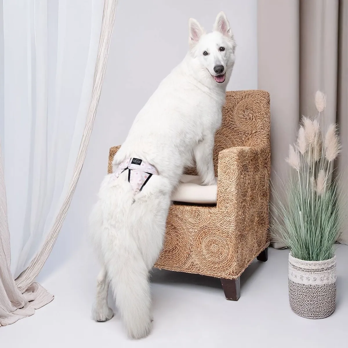 juoksupöksyt kietaisumalli, daisies>RuttuNuttu Sale